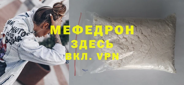 индика Новозыбков