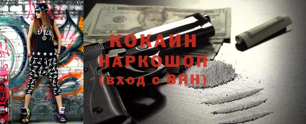 соль ск Новодвинск