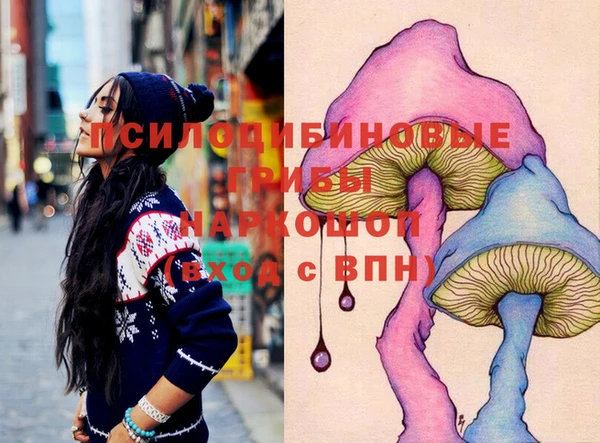 mix Белокуриха